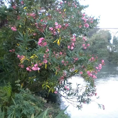 A De Vaucluse *